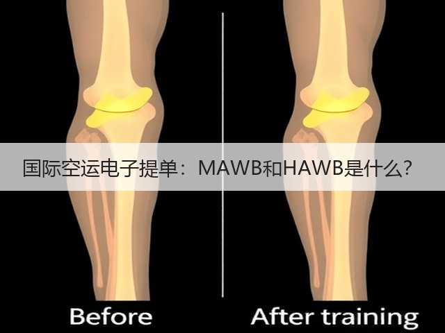 国际空运电子提单:MAWB和HAWB是什么?(图1) 国际空运电子提单:MAWB和HAWB是什么?(图1)