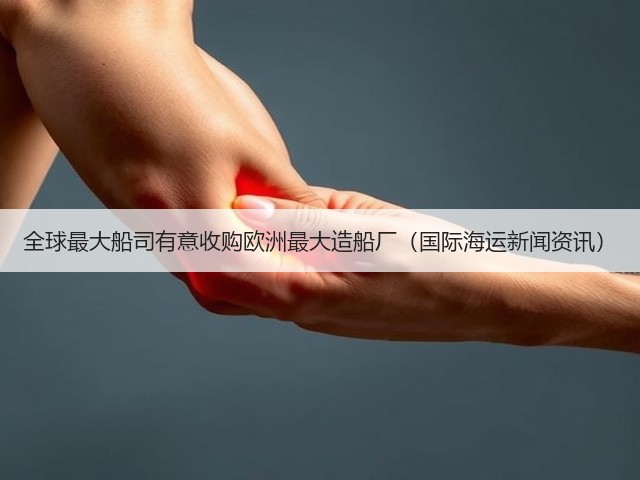 全球最大船司有意收购欧洲最大造船厂(国际海运新闻资讯)(图1) 全球最大船司有意收购欧洲最大造船厂(国际海运新闻资讯)(图1)