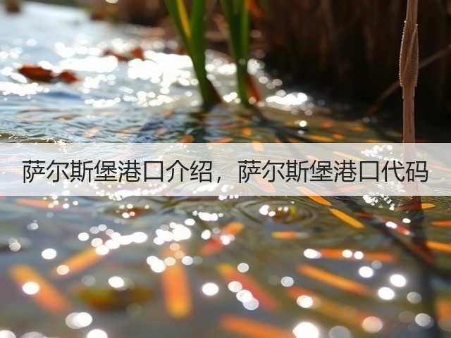 萨尔斯堡港口介绍，萨尔斯堡港口代码(图2)
