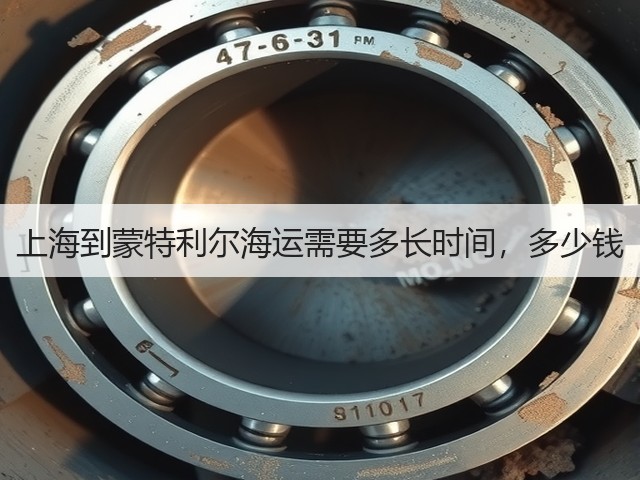 上海到蒙特利尔海运需要多长时间，多少钱(图3)
