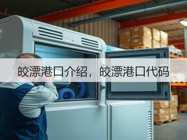 皎漂港口介绍，皎漂港口代码(图2)