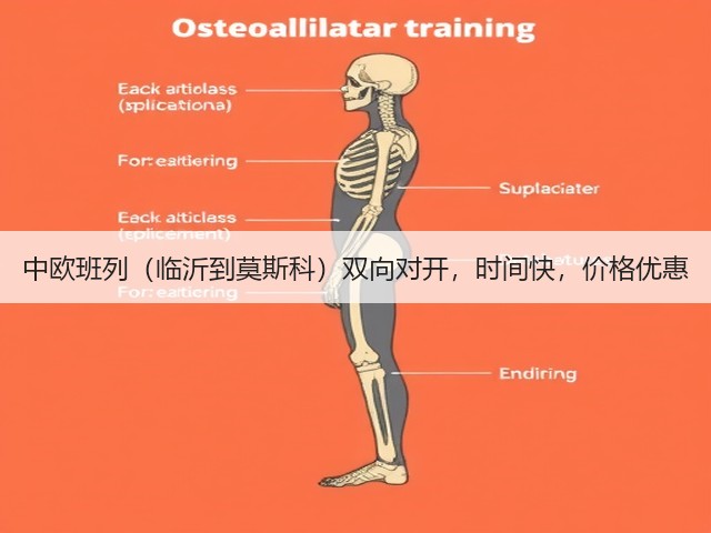 中欧班列（临沂到莫斯科）双向对开，时间快，价格优惠(图3)