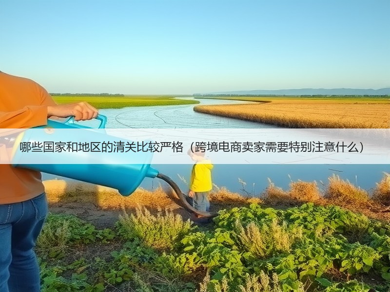 哪些国家和地区的清关比较严格（跨境电商卖家需要特别注意什么）