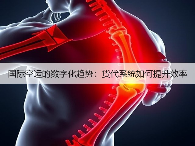 国际空运的数字化趋势:货代系统如何提升效率(图3) 国际空运的数字化趋势:货代系统如何提升效率(图3)