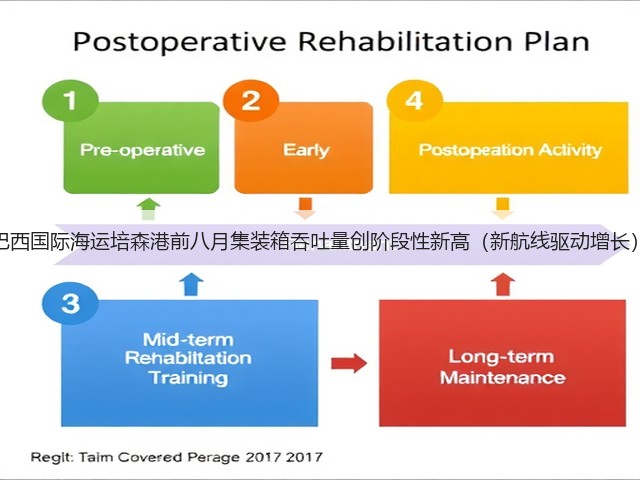 巴西国际海运培森港前八月集装箱吞吐量创阶段性新高(新航线驱动增长)(图2) 巴西国际海运培森港前八月集装箱吞吐量创阶段性新高(新航线驱动增长)(图2)