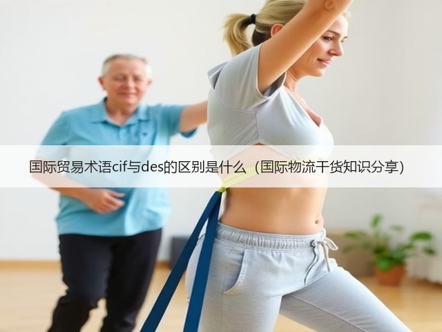 国际贸易术语cif与des的区别是什么(国际物流干货知识分享)(图2) 国际贸易术语cif与des的区别是什么(国际物流干货知识分享)(图2)