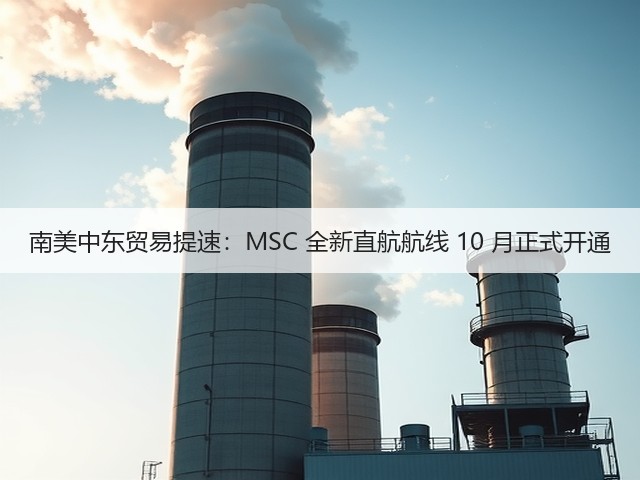 南美中东贸易提速：MSC 全新直航航线 10 月正式开通(图2)