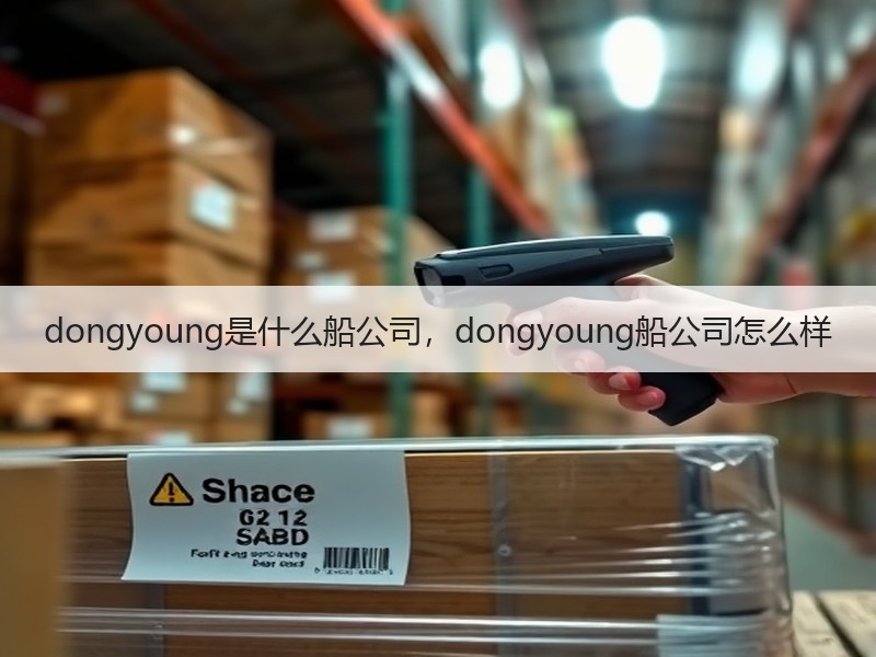 dongyoung是什么船公司，dongyoung船公司怎么样