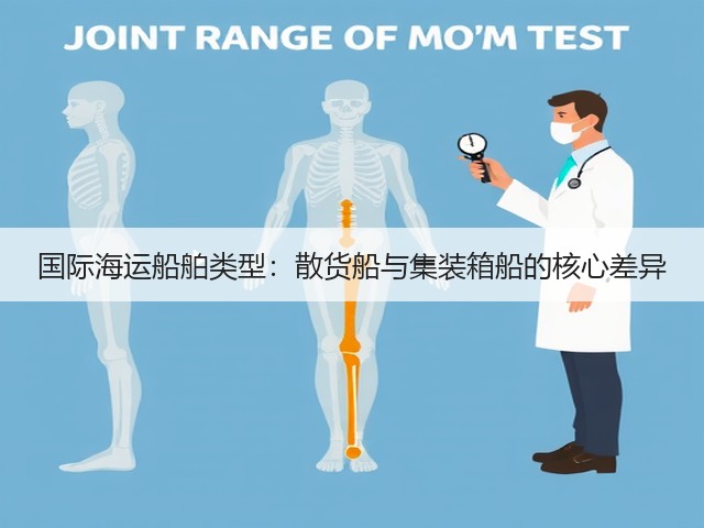 国际海运船舶类型：散货船与集装箱船的核心差异(图3)