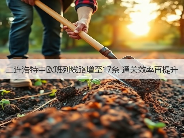 二连浩特中欧班列线路增至17条 通关效率再提升(图2) 二连浩特中欧班列线路增至17条 通关效率再提升(图2)