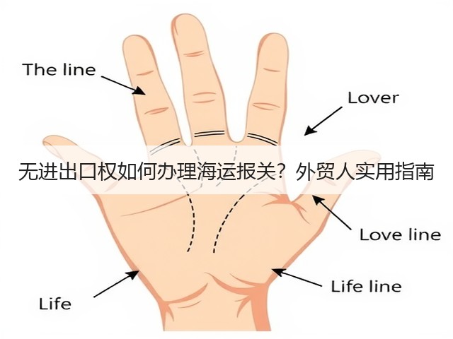 无进出口权如何办理海运报关?外贸人实用指南(图2) 无进出口权如何办理海运报关?外贸人实用指南(图2)