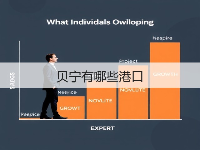 贝宁有哪些港口(图2) 贝宁有哪些港口(图2)