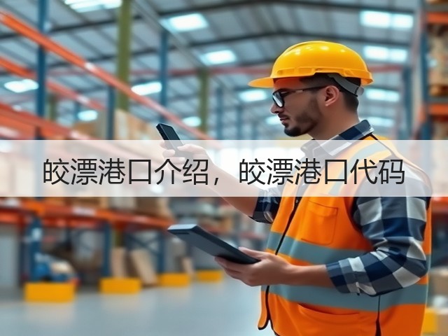 皎漂港口介绍，皎漂港口代码(图1)