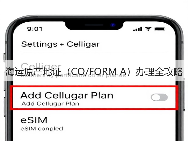 海运原产地证（CO/FORM A）办理全攻略