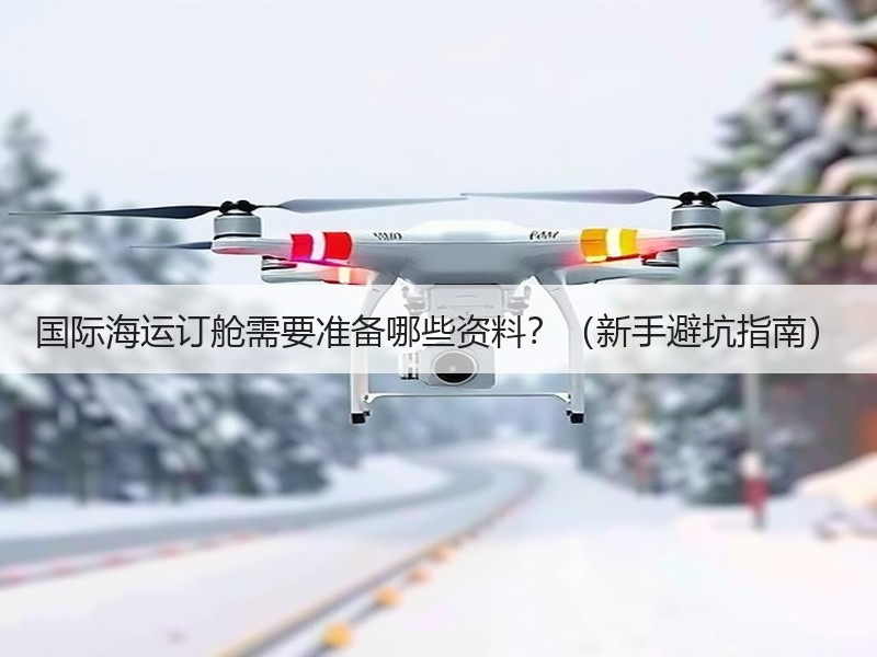 国际海运订舱需要准备哪些资料？（新手避坑指南）
