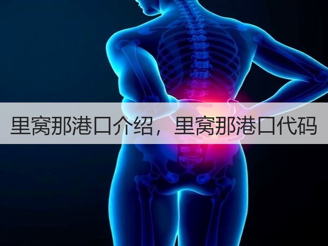 里窝那港口介绍，里窝那港口代码(图1)