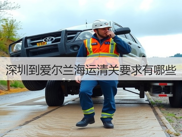 深圳到爱尔兰海运清关要求有哪些(图1) 深圳到爱尔兰海运清关要求有哪些(图1)