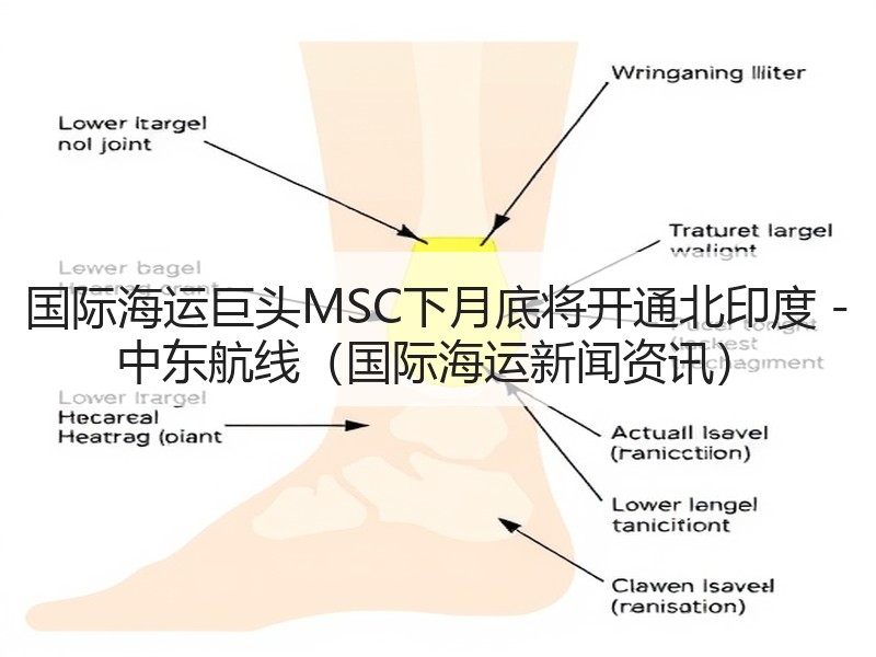国际海运巨头MSC下月底将开通北印度 - 中东航线(国际海运新闻资讯) 国际海运巨头MSC下月底将开通北印度 - 中东航线(国际海运新闻资讯)