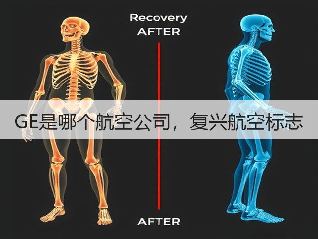 GE是哪个航空公司,复兴航空标志(图3) GE是哪个航空公司,复兴航空标志(图3)