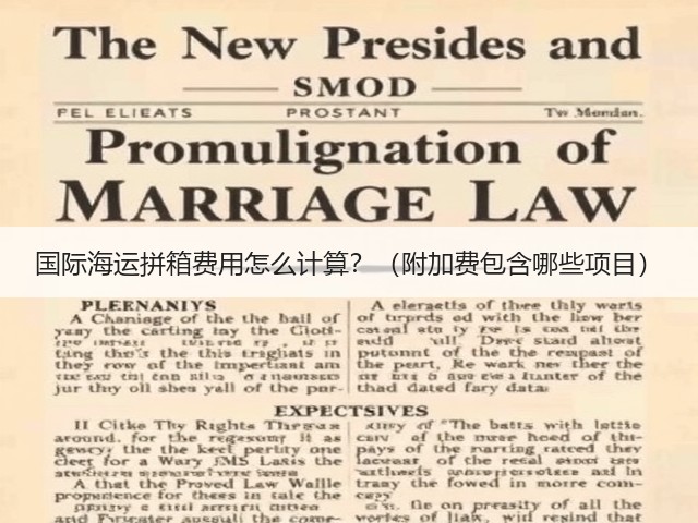 国际海运拼箱费用怎么计算?(附加费包含哪些项目)(图2) 国际海运拼箱费用怎么计算?(附加费包含哪些项目)(图2)