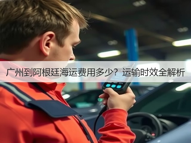 广州到阿根廷海运费用多少？运输时效全解析(图3)