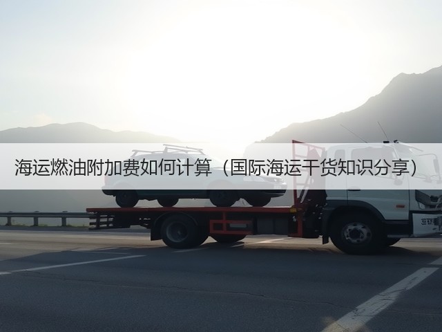 海运燃油附加费如何计算(国际海运干货知识分享)(图3) 海运燃油附加费如何计算(国际海运干货知识分享)(图3)