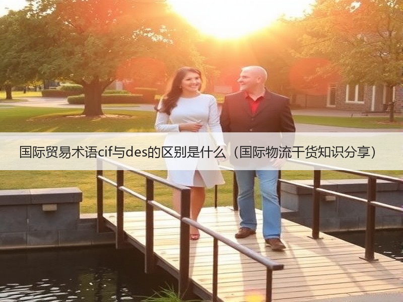 国际贸易术语cif与des的区别是什么(国际物流干货知识分享) 国际贸易术语cif与des的区别是什么(国际物流干货知识分享)