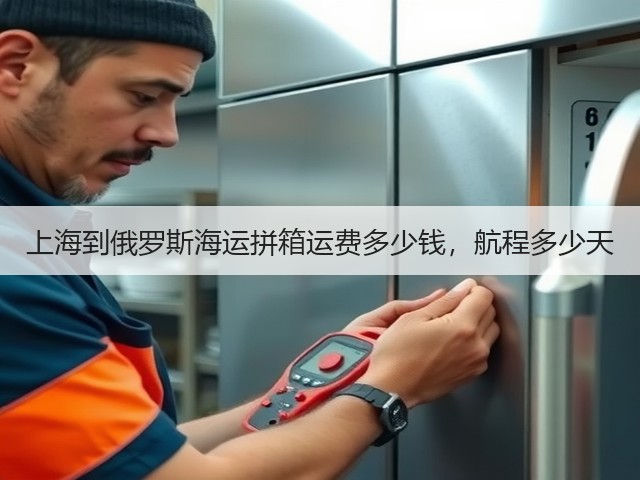 上海到俄罗斯海运拼箱运费多少钱,航程多少天(图3) 上海到俄罗斯海运拼箱运费多少钱,航程多少天(图3)