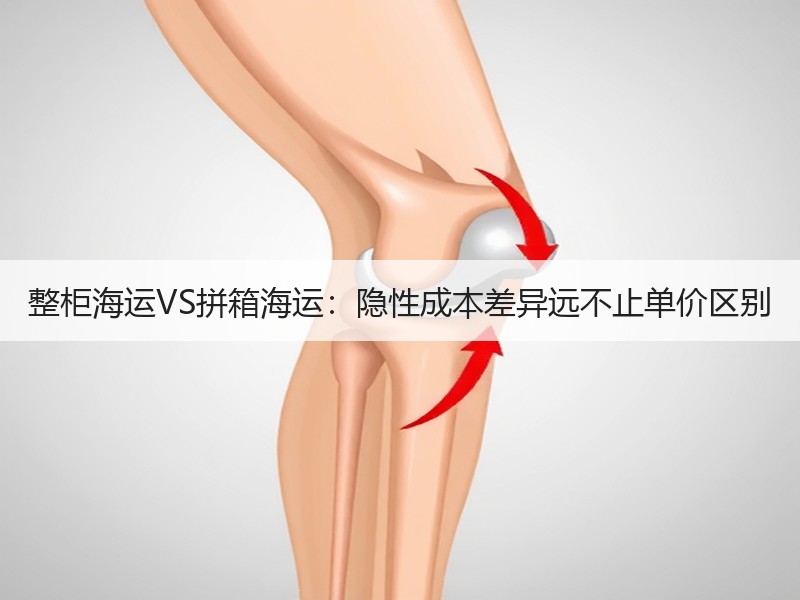 整柜海运VS拼箱海运：隐性成本差异远不止单价区别