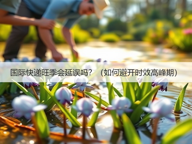 国际快递旺季会延误吗?(如何避开时效高峰期)(图2) 国际快递旺季会延误吗?(如何避开时效高峰期)(图2)