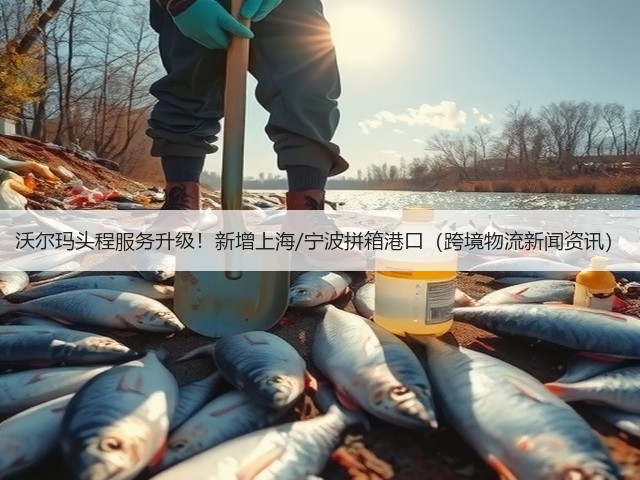 沃尔玛头程服务升级！新增上海/宁波拼箱港口（跨境物流新闻资讯）(图3)