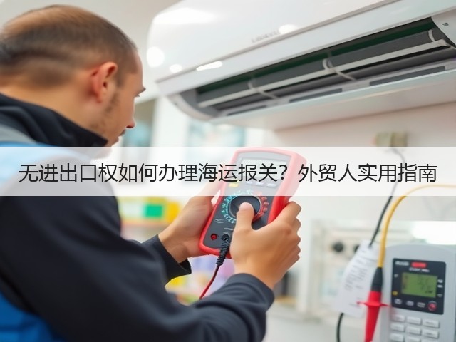 无进出口权如何办理海运报关?外贸人实用指南(图3) 无进出口权如何办理海运报关?外贸人实用指南(图3)