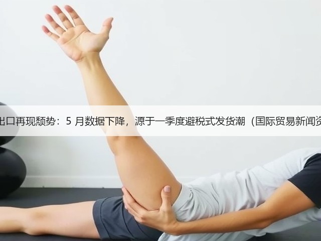 德国出口再现颓势:5 月数据下降,源于一季度避税式发货潮(国际贸易新闻资讯)(图3) 德国出口再现颓势:5 月数据下降,源于一季度避税式发货潮(国际贸易新闻资讯)(图3)