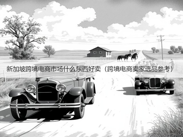 新加坡跨境电商市场什么东西好卖(跨境电商卖家选品参考)(图3) 新加坡跨境电商市场什么东西好卖(跨境电商卖家选品参考)(图3)