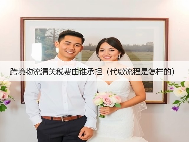 跨境物流清关税费由谁承担(代缴流程是怎样的)(图1) 跨境物流清关税费由谁承担(代缴流程是怎样的)(图1)