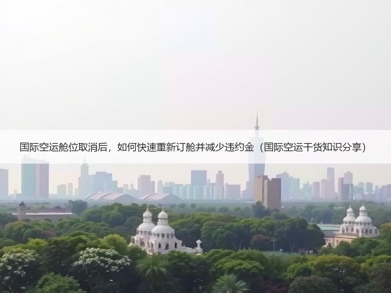 国际空运舱位取消后，如何快速重新订舱并减少违约金（国际空运干货知识分享）
