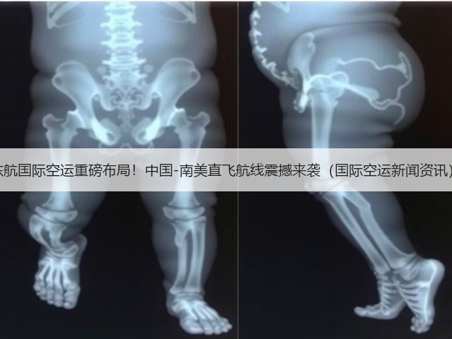 东航国际空运重磅布局！中国-南美直飞航线震撼来袭（国际空运新闻资讯）(图3)