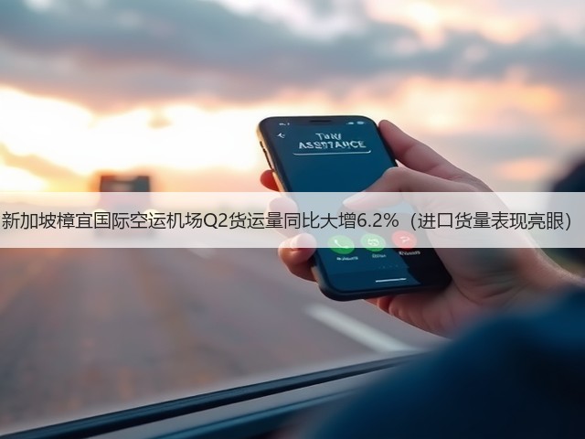 新加坡樟宜国际空运机场Q2货运量同比大增6.2%(进口货量表现亮眼)(图3) 新加坡樟宜国际空运机场Q2货运量同比大增6.2%(进口货量表现亮眼)(图3)