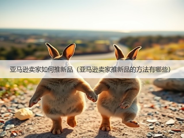 亚马逊卖家如何推新品（亚马逊卖家推新品的方法有哪些）(图1)
