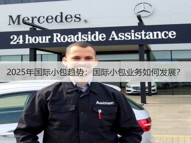 2025年国际小包趋势:国际小包业务如何发展?(图1) 2025年国际小包趋势:国际小包业务如何发展?(图1)