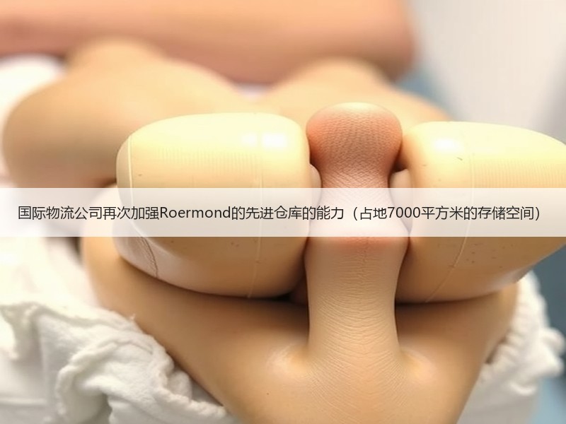 国际物流公司再次加强Roermond的先进仓库的能力(占地7000平方米的存储空间) 国际物流公司再次加强Roermond的先进仓库的能力(占地7000平方米的存储空间)