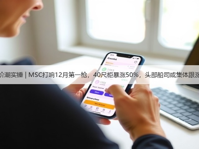涨价潮实锤 | MSC打响12月第一枪,40尺柜暴涨50%,头部船司或集体跟涨!(图3) 涨价潮实锤 | MSC打响12月第一枪,40尺柜暴涨50%,头部船司或集体跟涨!(图3)
