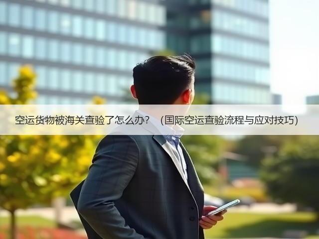 空运货物被海关查验了怎么办?(国际空运查验流程与应对技巧)(图2) 空运货物被海关查验了怎么办?(国际空运查验流程与应对技巧)(图2)