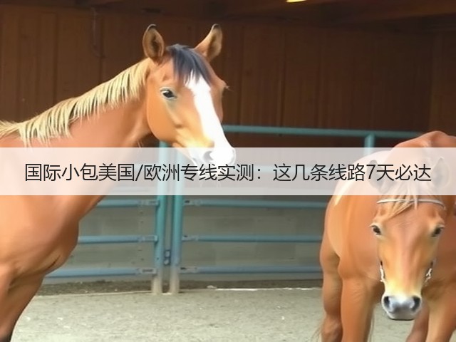 国际小包美国/欧洲专线实测:这几条线路7天必达(图2) 国际小包美国/欧洲专线实测:这几条线路7天必达(图2)