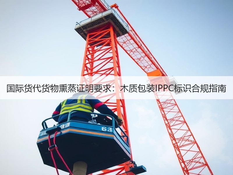 国际货代货物熏蒸证明要求：木质包装IPPC标识合规指南