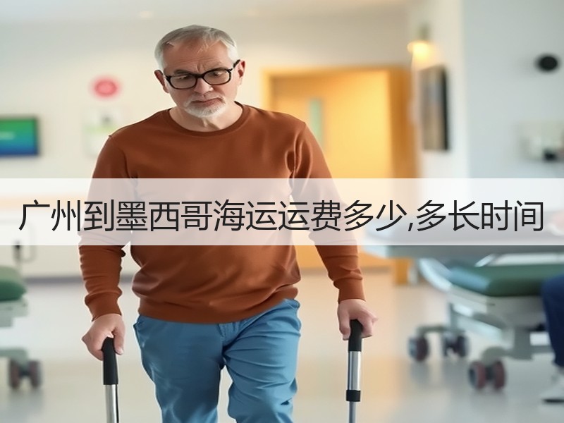广州到墨西哥海运运费多少,多长时间 广州到墨西哥海运运费多少,多长时间