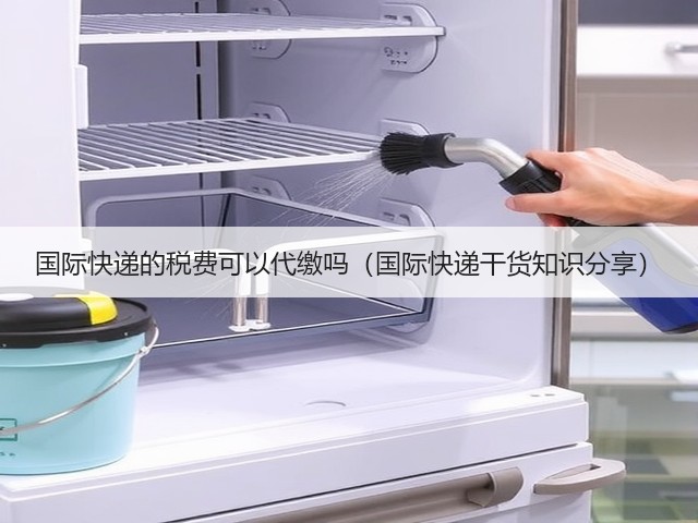国际快递的税费可以代缴吗(国际快递干货知识分享)(图3) 国际快递的税费可以代缴吗(国际快递干货知识分享)(图3)