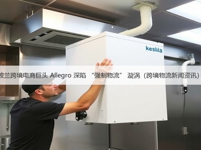 波兰跨境电商巨头 Allegro 深陷 “强制物流” 漩涡(跨境物流新闻资讯)(图1) 波兰跨境电商巨头 Allegro 深陷 “强制物流” 漩涡(跨境物流新闻资讯)(图1)