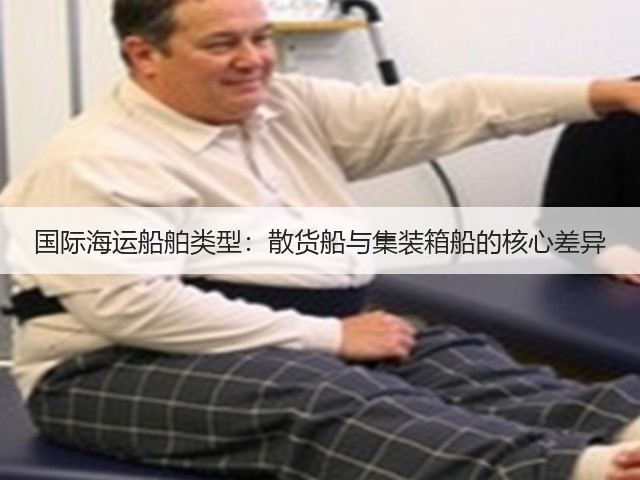 国际海运船舶类型：散货船与集装箱船的核心差异(图2)