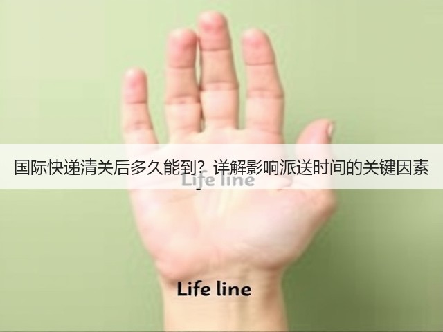国际快递清关后多久能到?详解影响派送时间的关键因素(图3) 国际快递清关后多久能到?详解影响派送时间的关键因素(图3)